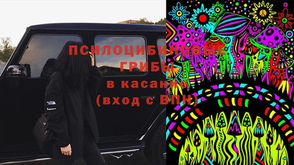 шишки Киреевск