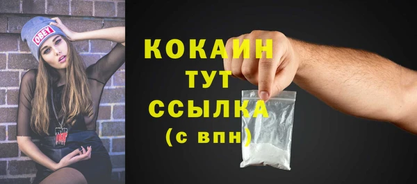 шишки Киреевск