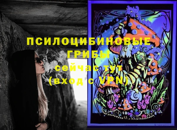 шишки Киреевск