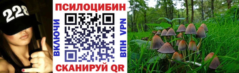Купить закладки  Снежногорск  Галлюциногенные грибы GOLDEN TEACHER 